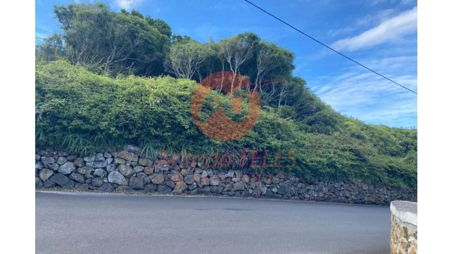 Terreno para Venda em Porto Martins