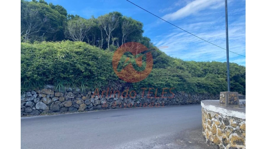 Terreno para Venda em Porto Martins Foto 11