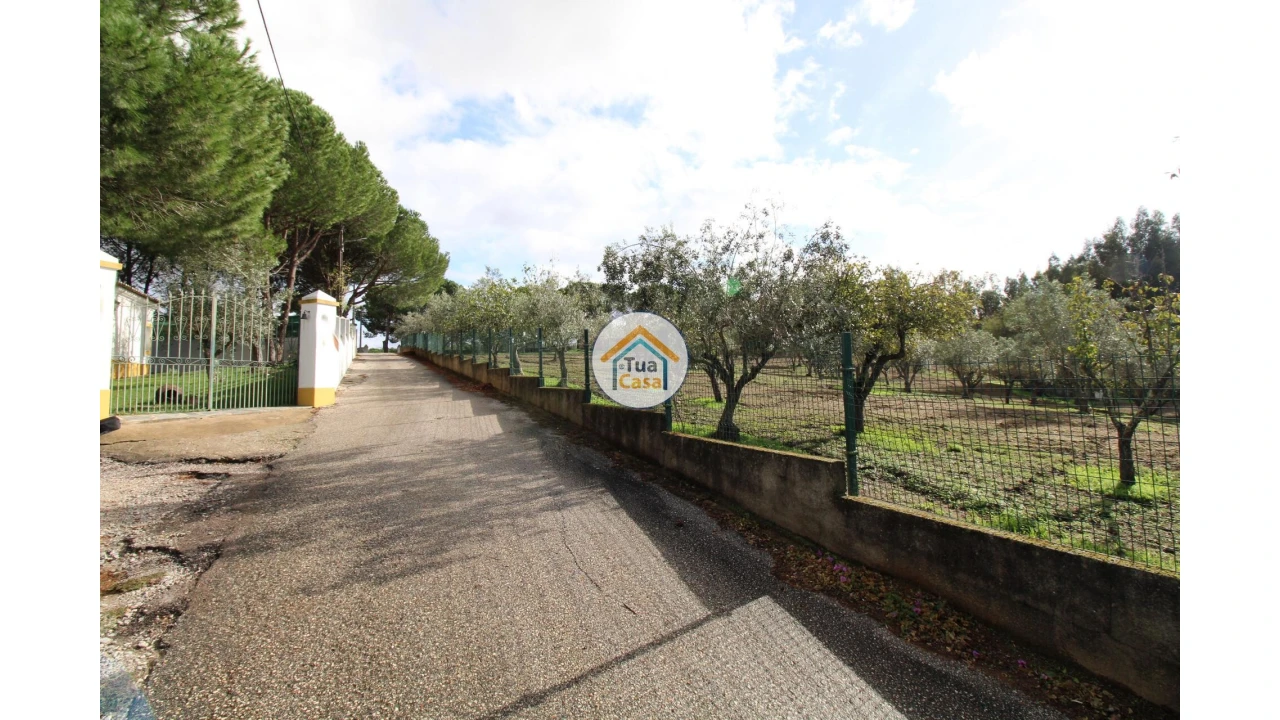 Terreno para Venda em Redondo Foto 11