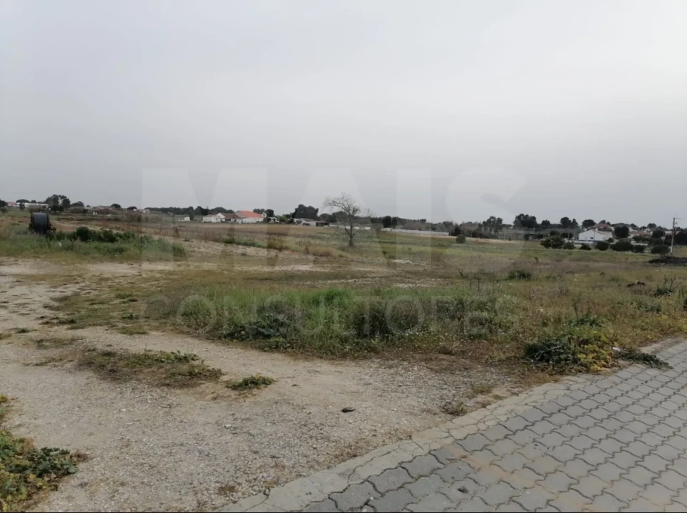 Terreno para Venda em Coruche, Fajarda e Erra Foto 10