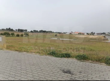 Terreno para Venda em Coruche, Fajarda e Erra