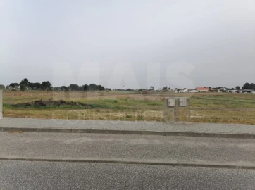 Terreno para Venda em Coruche, Fajarda e Erra