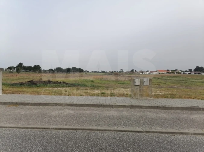 Terreno para Venda em Coruche, Fajarda e Erra Foto 7