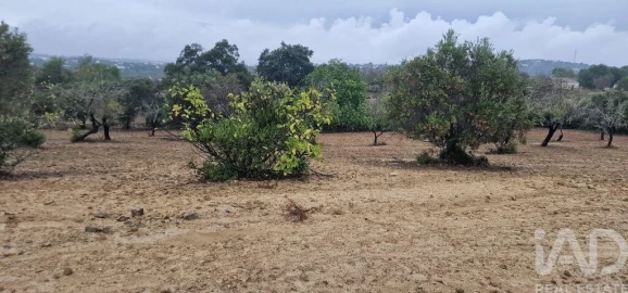 Terreno para Venda em São Brás de Alportel