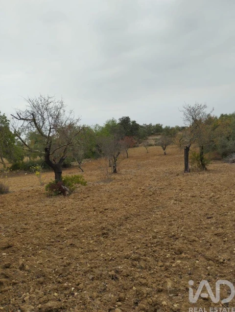 Terreno para Venda em São Brás de Alportel