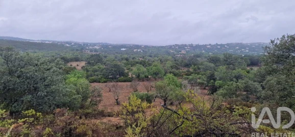 Terreno para Venda em São Brás de Alportel