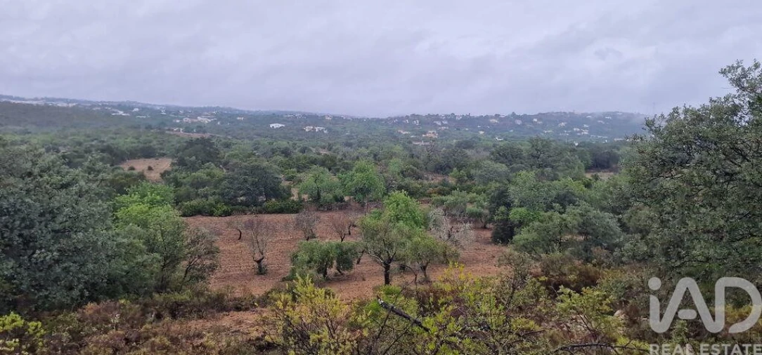Terreno para Venda em São Brás de Alportel Foto 2