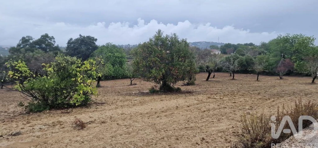 Terreno para Venda em São Brás de Alportel Foto 7