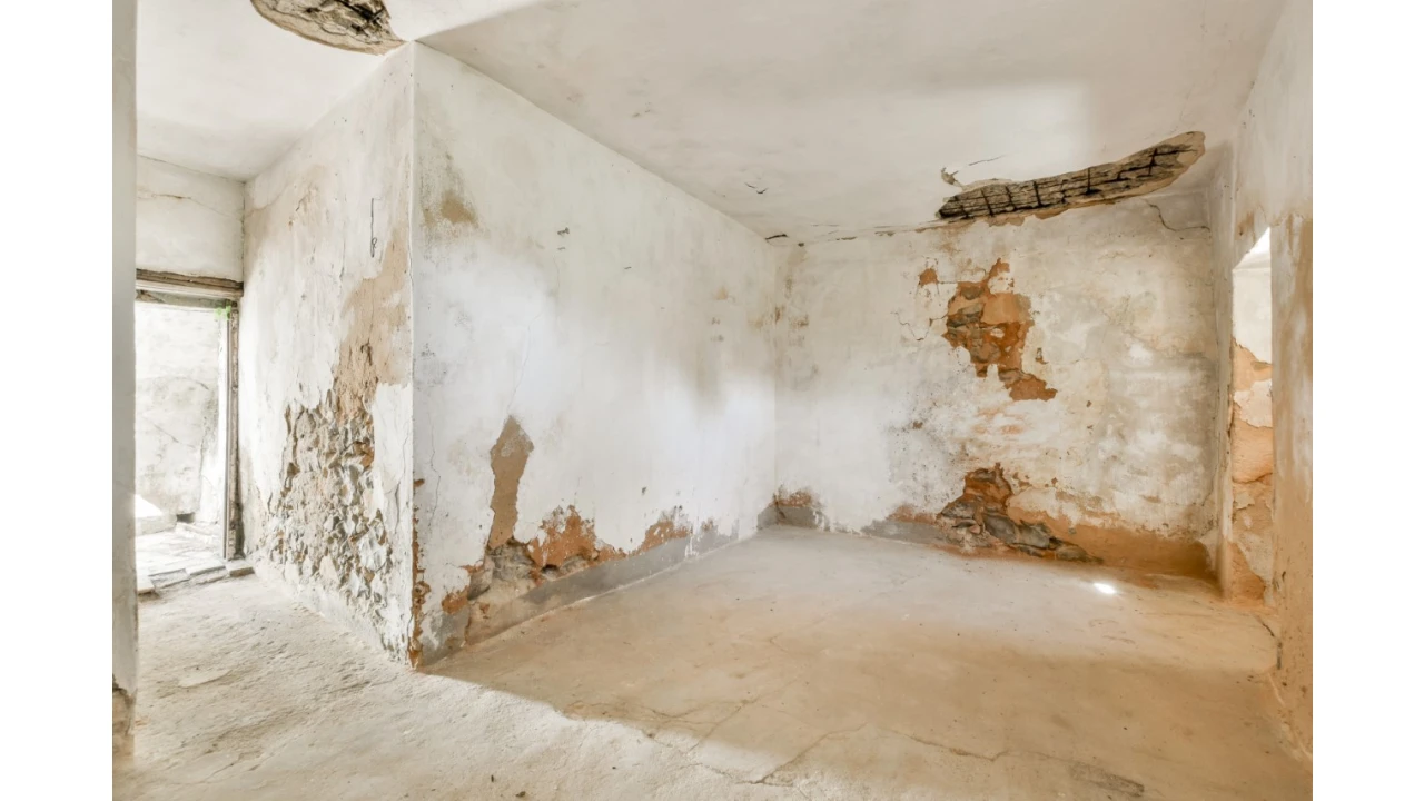 Quinta T30 para Venda em Conceição e Estoi Foto 22