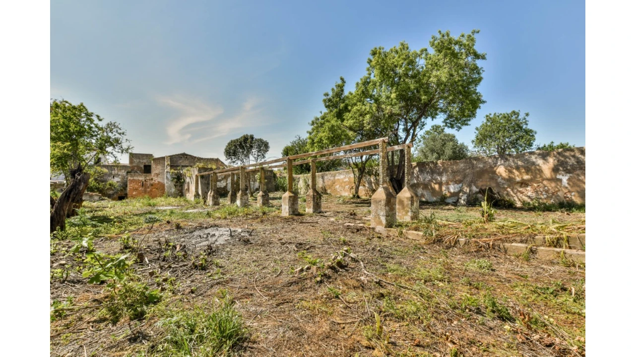 Quinta T30 para Venda em Conceição e Estoi Foto 39