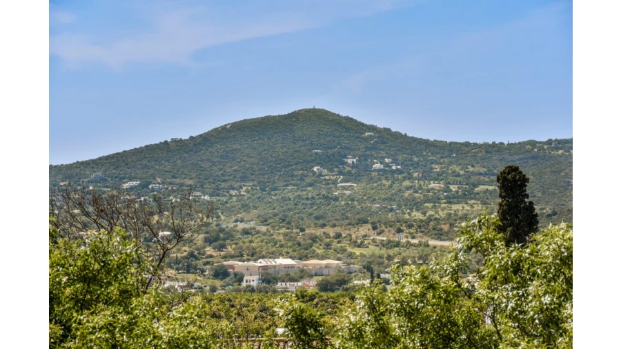 Quinta T30 para Venda em Conceição e Estoi Foto 42