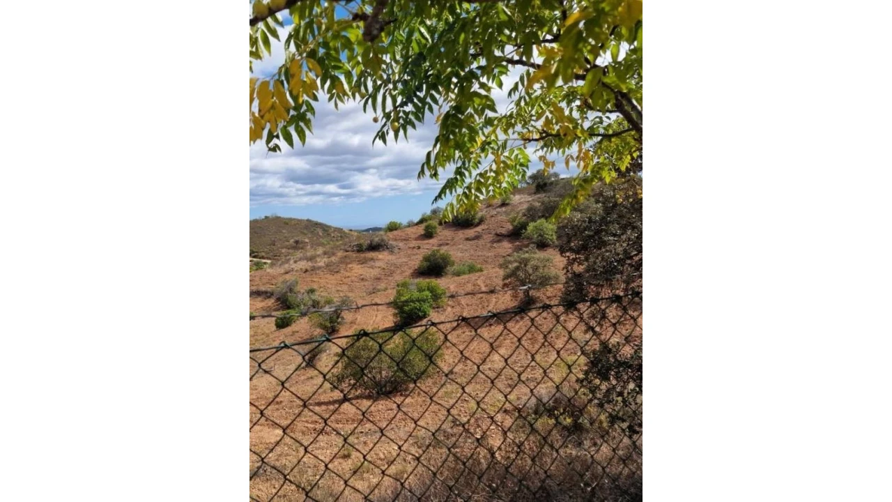 Quinta T2 para Venda em Santa Catarina da Fonte do Bispo Foto 17