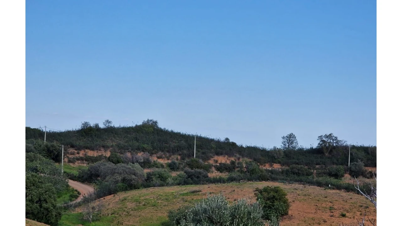 Quinta T2 para Venda em Santa Catarina da Fonte do Bispo Foto 19