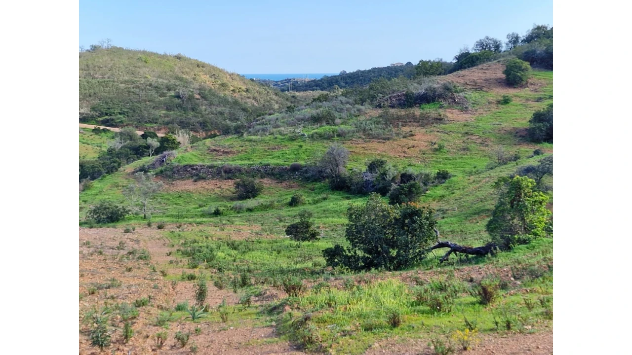 Quinta T2 para Venda em Santa Catarina da Fonte do Bispo Foto 23