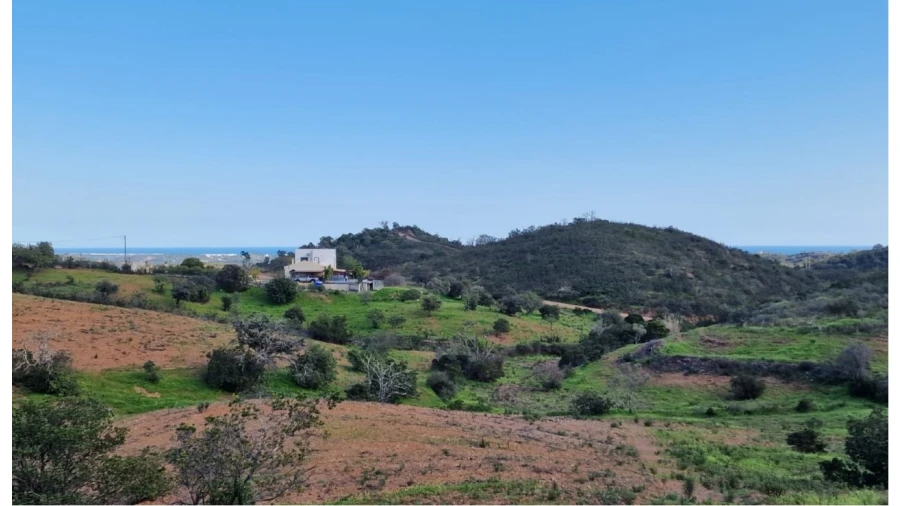 Quinta T2 para Venda em Santa Catarina da Fonte do Bispo Foto 22