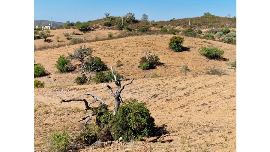 Quinta T2 para Venda em Santa Catarina da Fonte do Bispo Foto 18