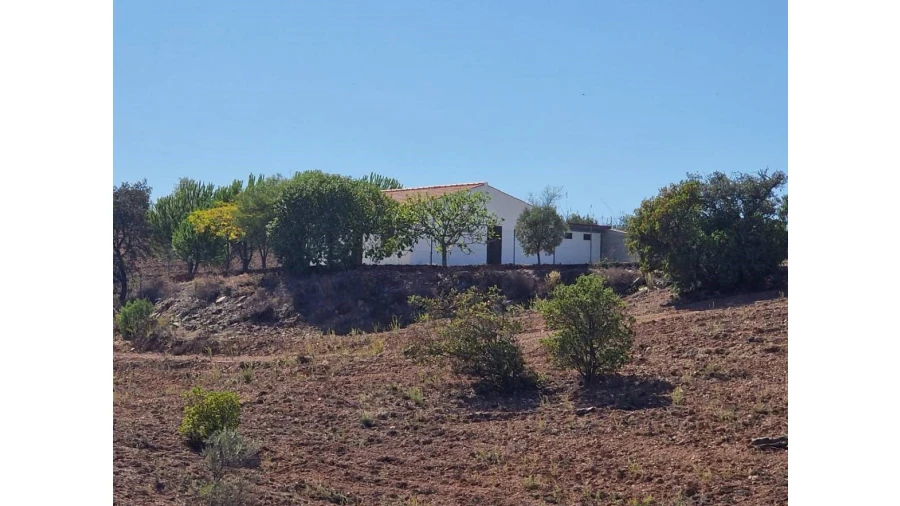 Quinta T2 para Venda em Santa Catarina da Fonte do Bispo Foto 20