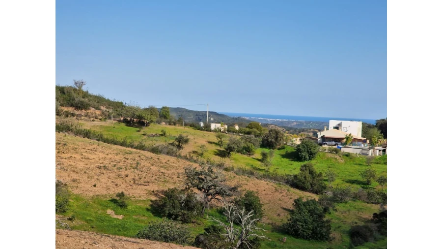 Quinta T2 para Venda em Santa Catarina da Fonte do Bispo Foto 21