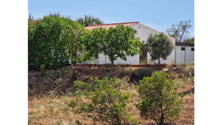 Quinta T2 para Venda em Santa Catarina da Fonte do Bispo Foto 1
