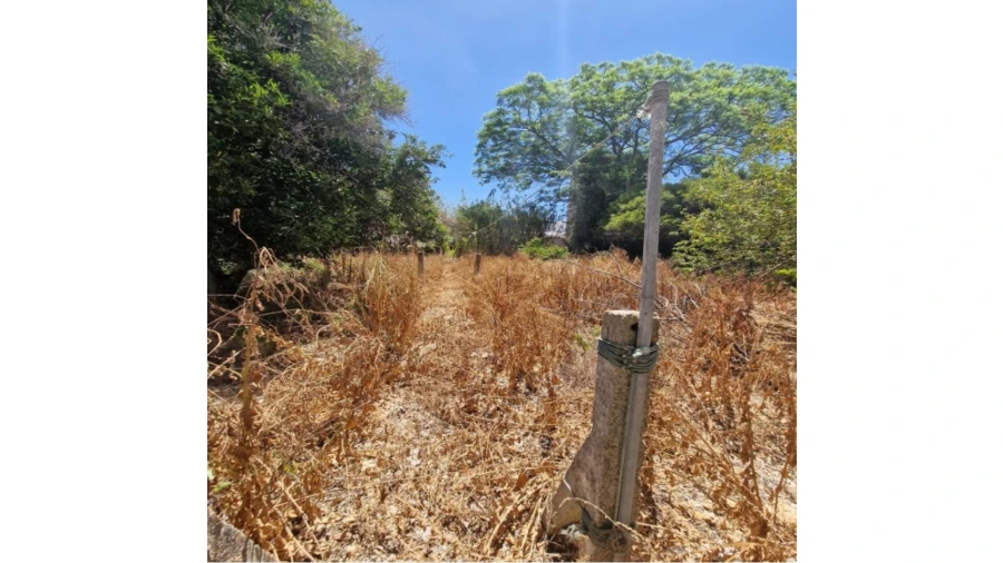 Quinta T10 para Venda em Tavira (Santa Maria e Santiago) Foto 11