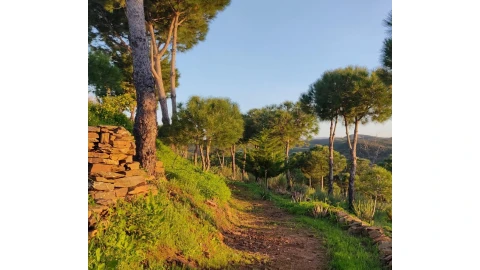 Moradia T2 para Venda em Tavira (Santa Maria e Santiago)