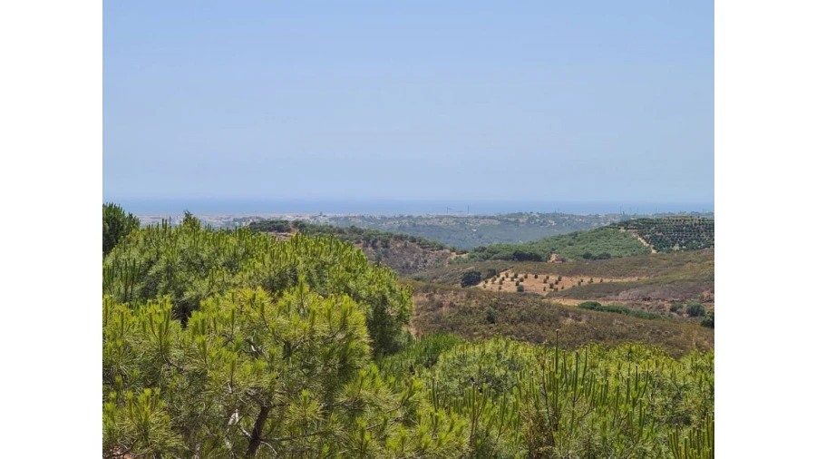 Moradia T2 para Venda em Tavira (Santa Maria e Santiago) Foto 2