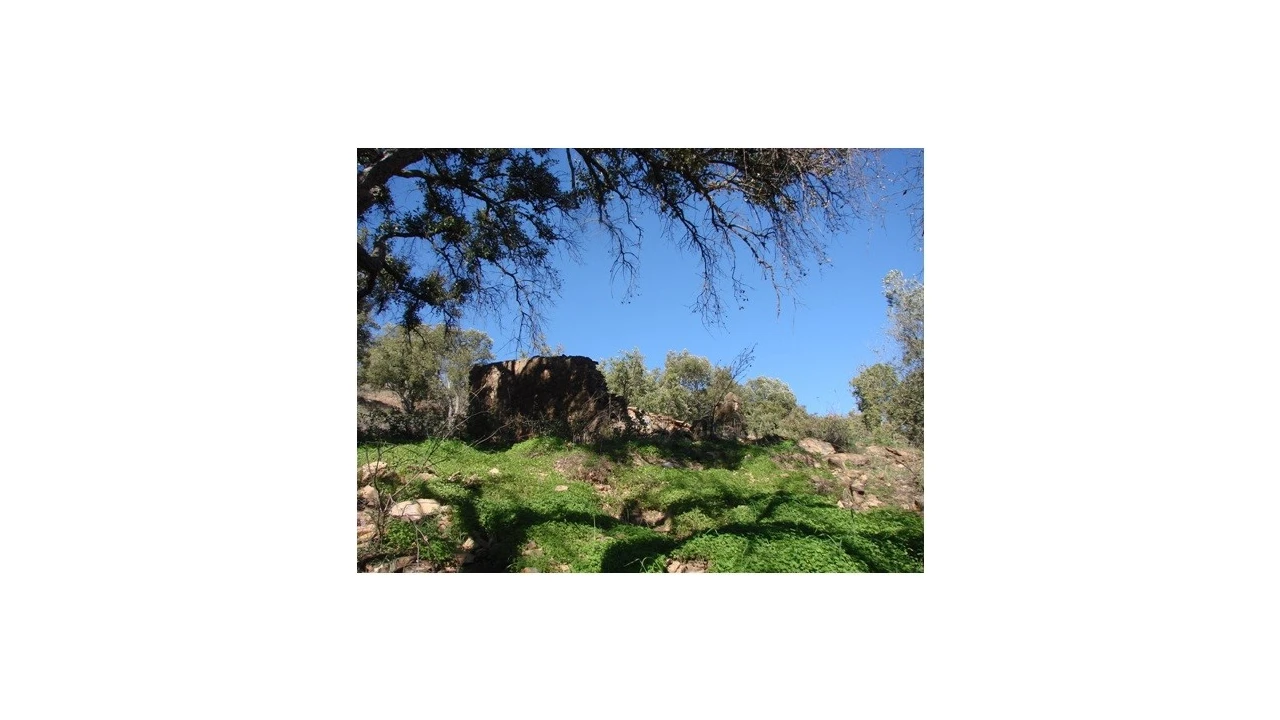 Terreno para Venda em Santa Catarina da Fonte do Bispo Foto 1