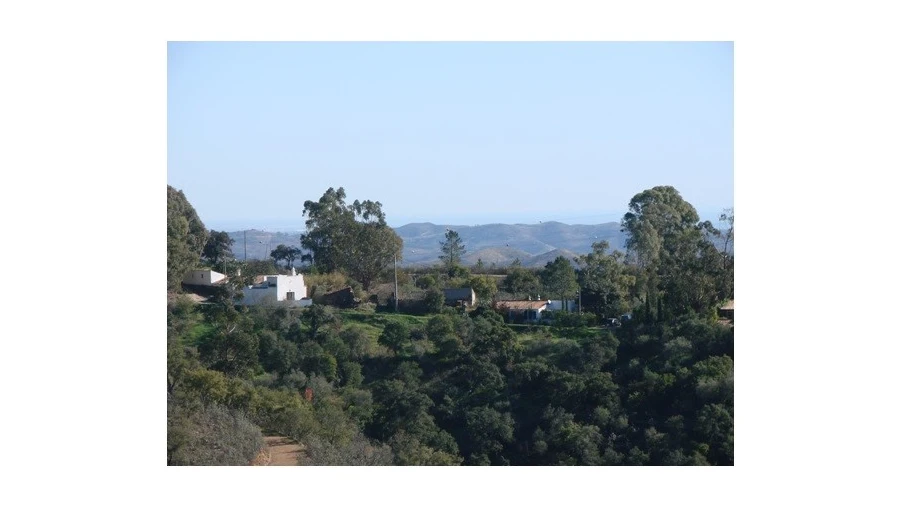 Terreno para Venda em Santa Catarina da Fonte do Bispo Foto 9