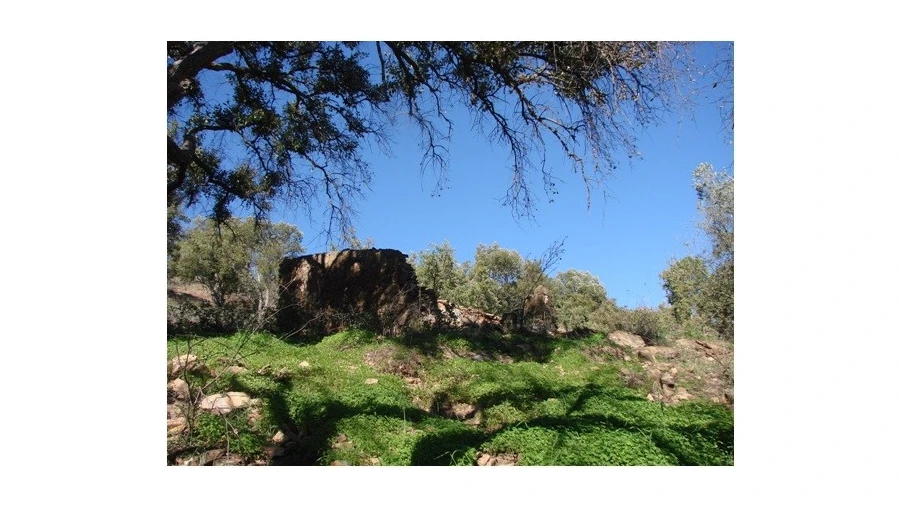 Terreno para Venda em Santa Catarina da Fonte do Bispo