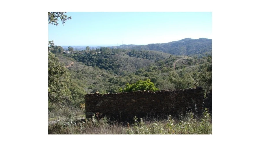 Terreno para Venda em Santa Catarina da Fonte do Bispo Foto 6