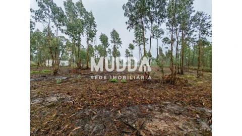 Terreno para Venda em Glória e Vera Cruz