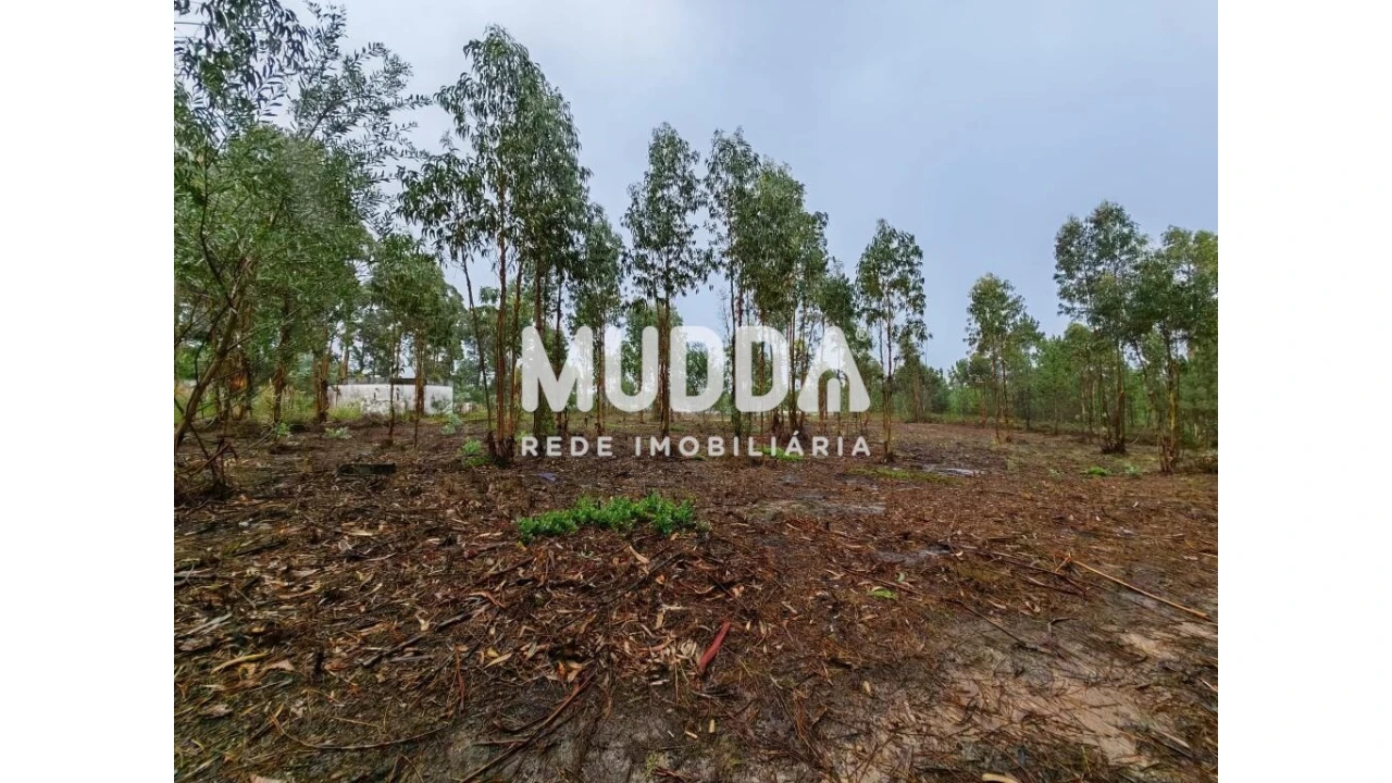 Terreno para Venda em Glória e Vera Cruz Foto 2