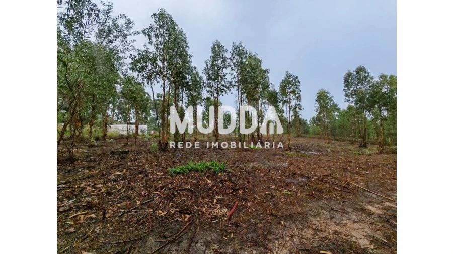 Terreno para Venda em Glória e Vera Cruz Foto 2