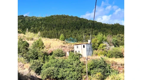 Terreno para Venda em Gaula