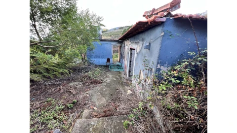 Terreno para Venda em Gaula