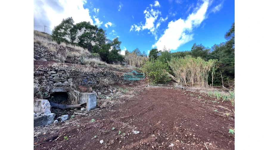 Terreno para Venda em Gaula Foto 3