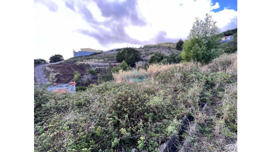 Terreno para Venda em Gaula Foto 15