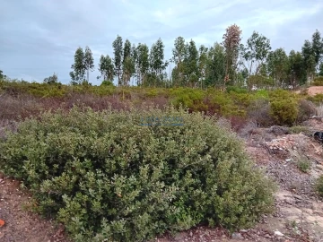 Terreno para Venda em Quinta do Anjo