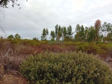 Terreno para Venda em Quinta do Anjo
