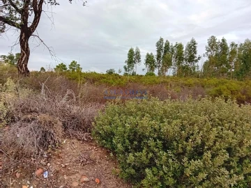 Terreno para Venda em Quinta do Anjo