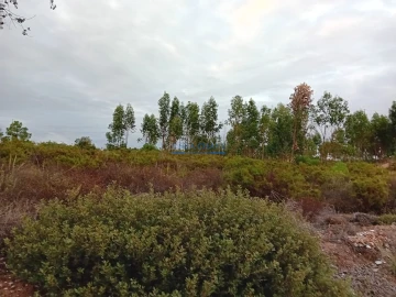 Terreno para Venda em Quinta do Anjo