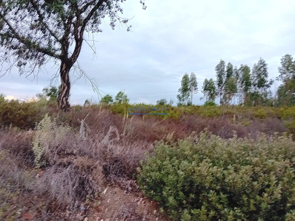 Terreno para Venda em Quinta do Anjo Foto 11