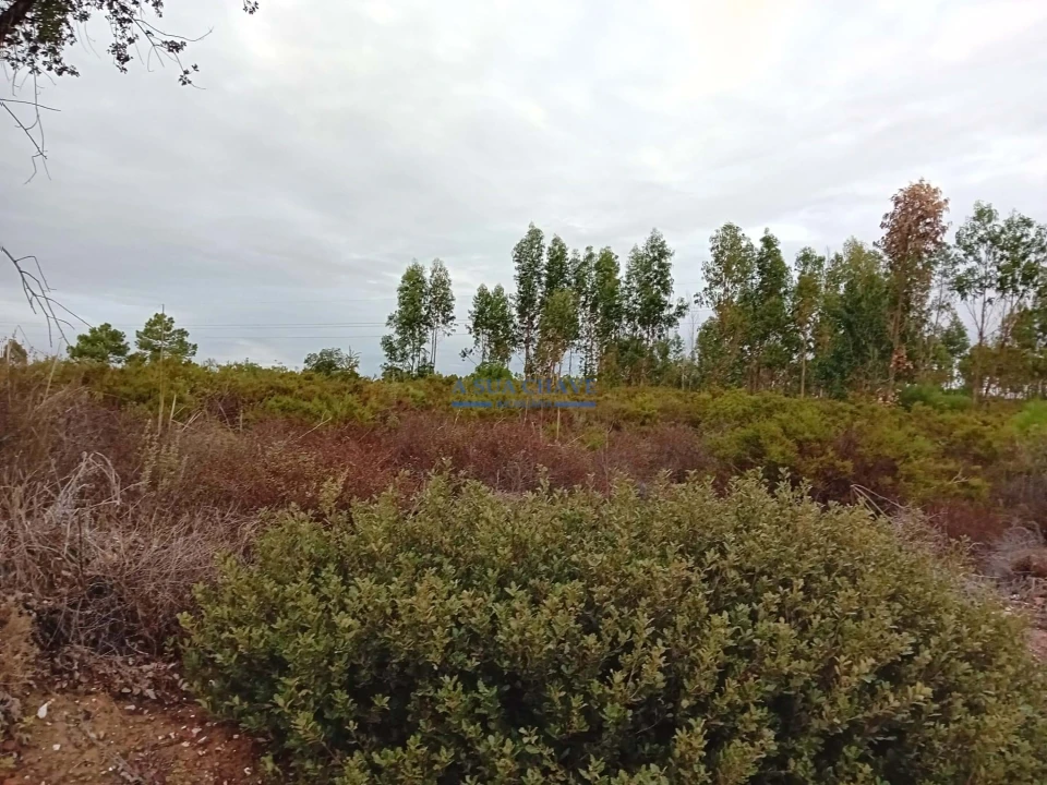Terreno para Venda em Quinta do Anjo Foto 12