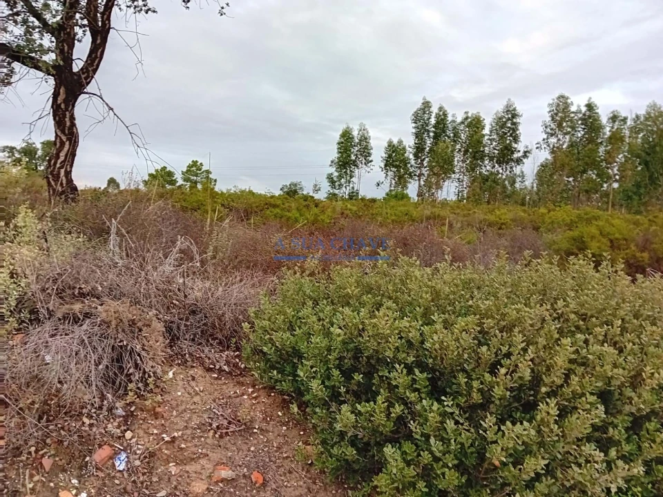 Terreno para Venda em Quinta do Anjo Foto 4
