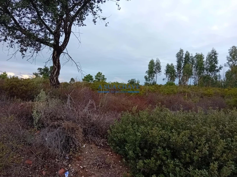 Terreno para Venda em Quinta do Anjo Foto 1