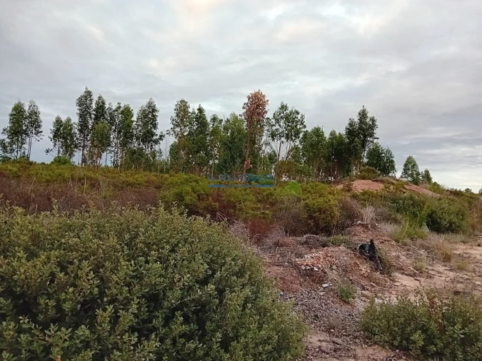 Terreno para Venda em Quinta do Anjo Foto 7