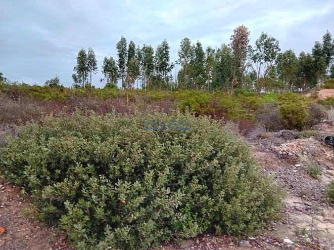 Terreno para Venda em Quinta do Anjo Foto 8