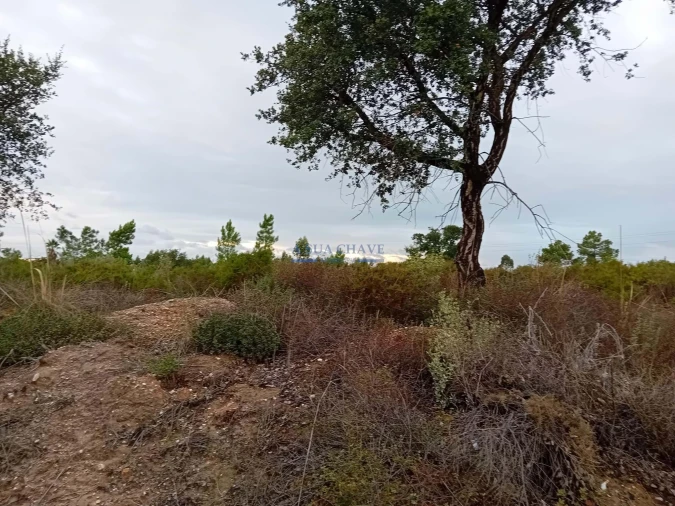 Terreno para Venda em Quinta do Anjo Foto 9