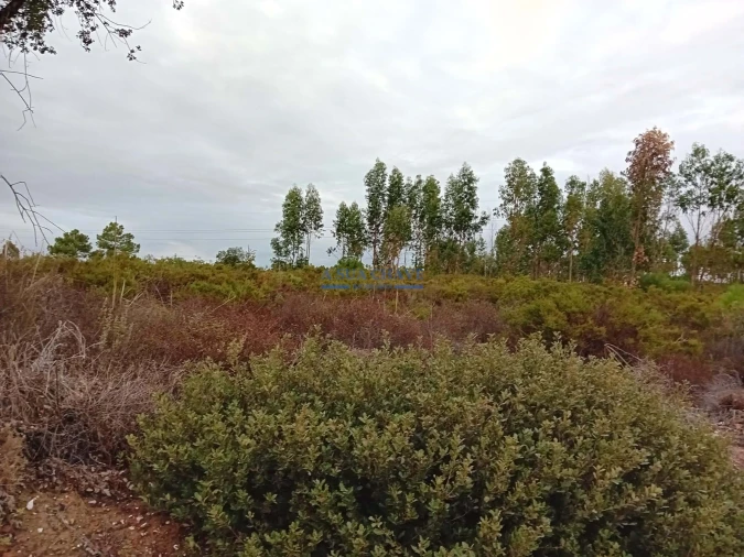 Terreno para Venda em Quinta do Anjo Foto 12