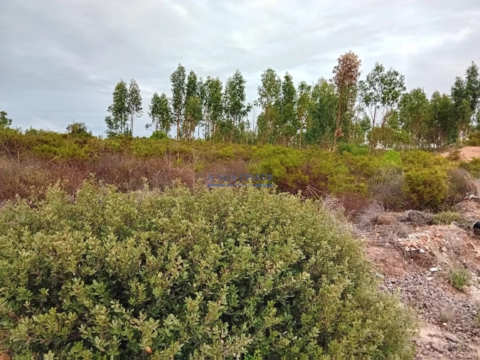 Terreno para Venda em Quinta do Anjo Foto 14
